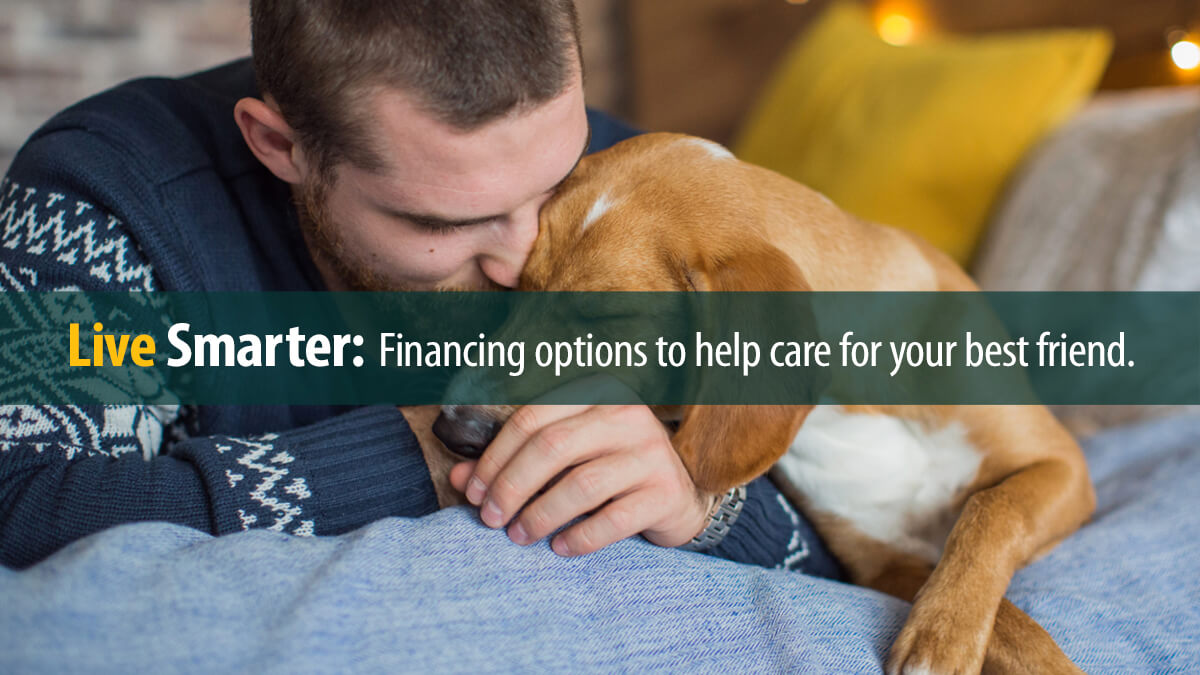 Man caring for his dog.